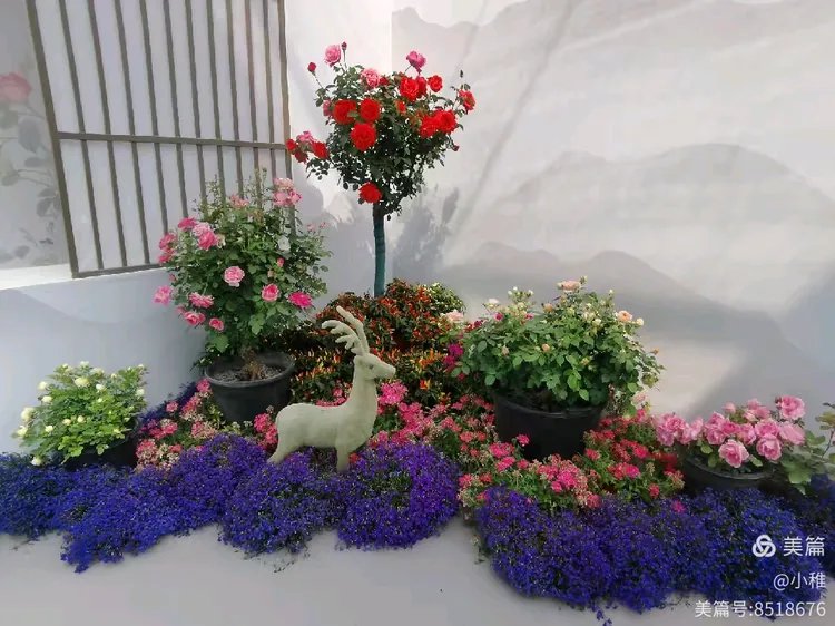 千姿妩媚倚芳丛